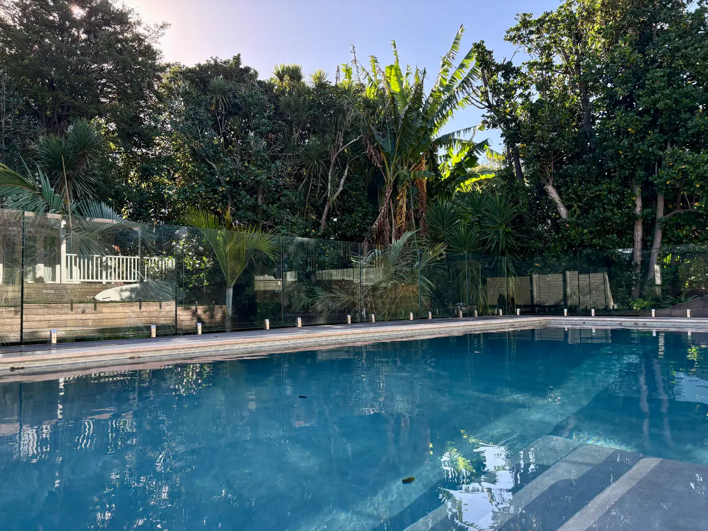 Glass pool fencing at dusk with subtropical planting behind