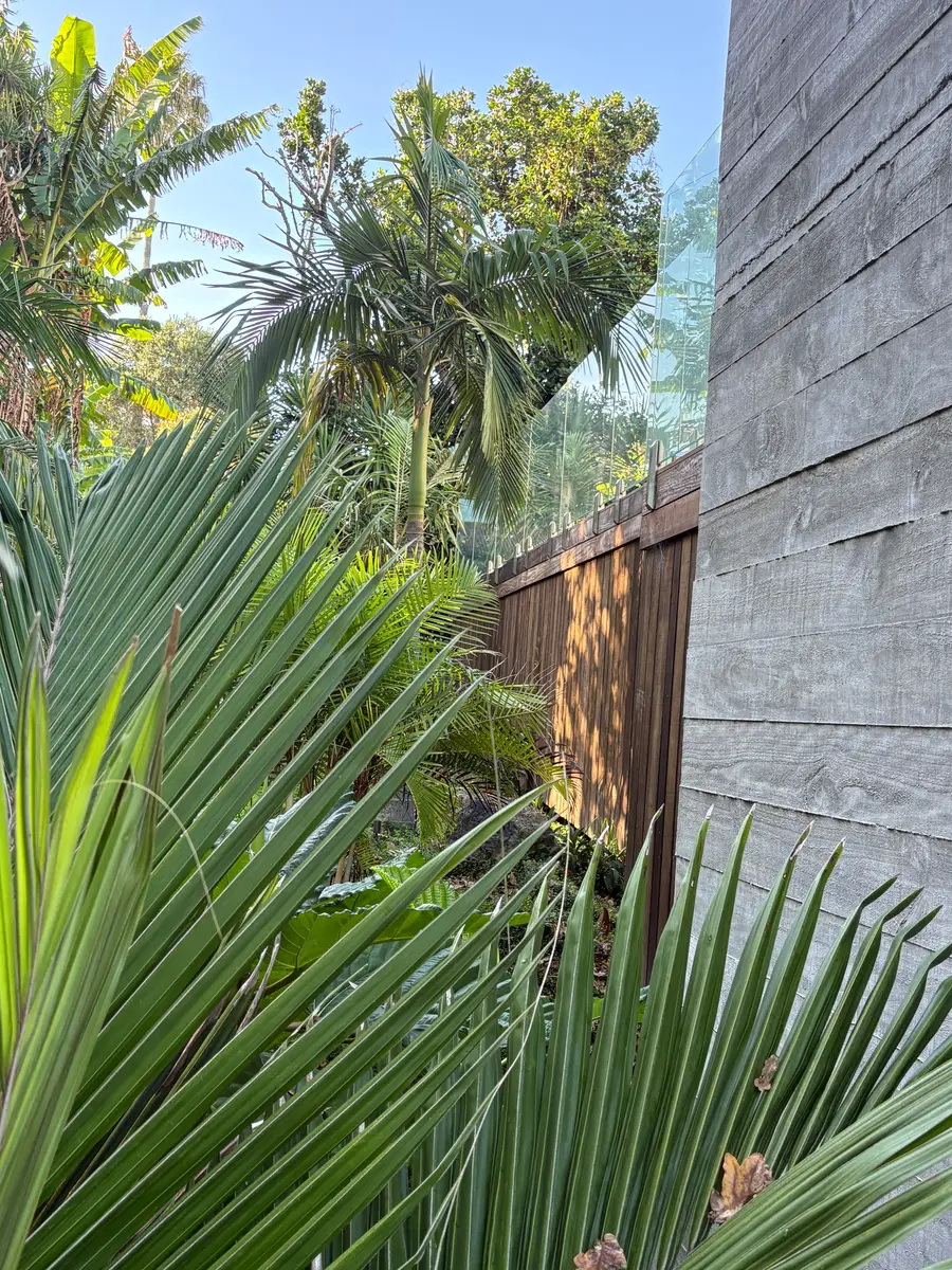 Palms framing the glass balustrade at Calliope Road