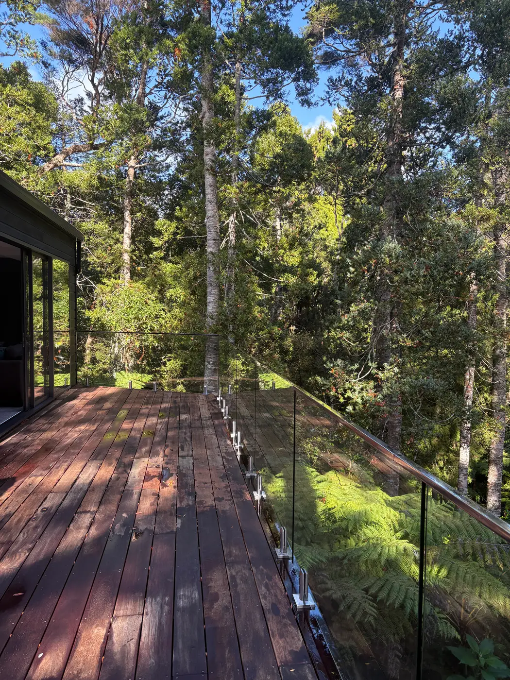 Frameless glass balustrade on an elevated timber deck over native bush