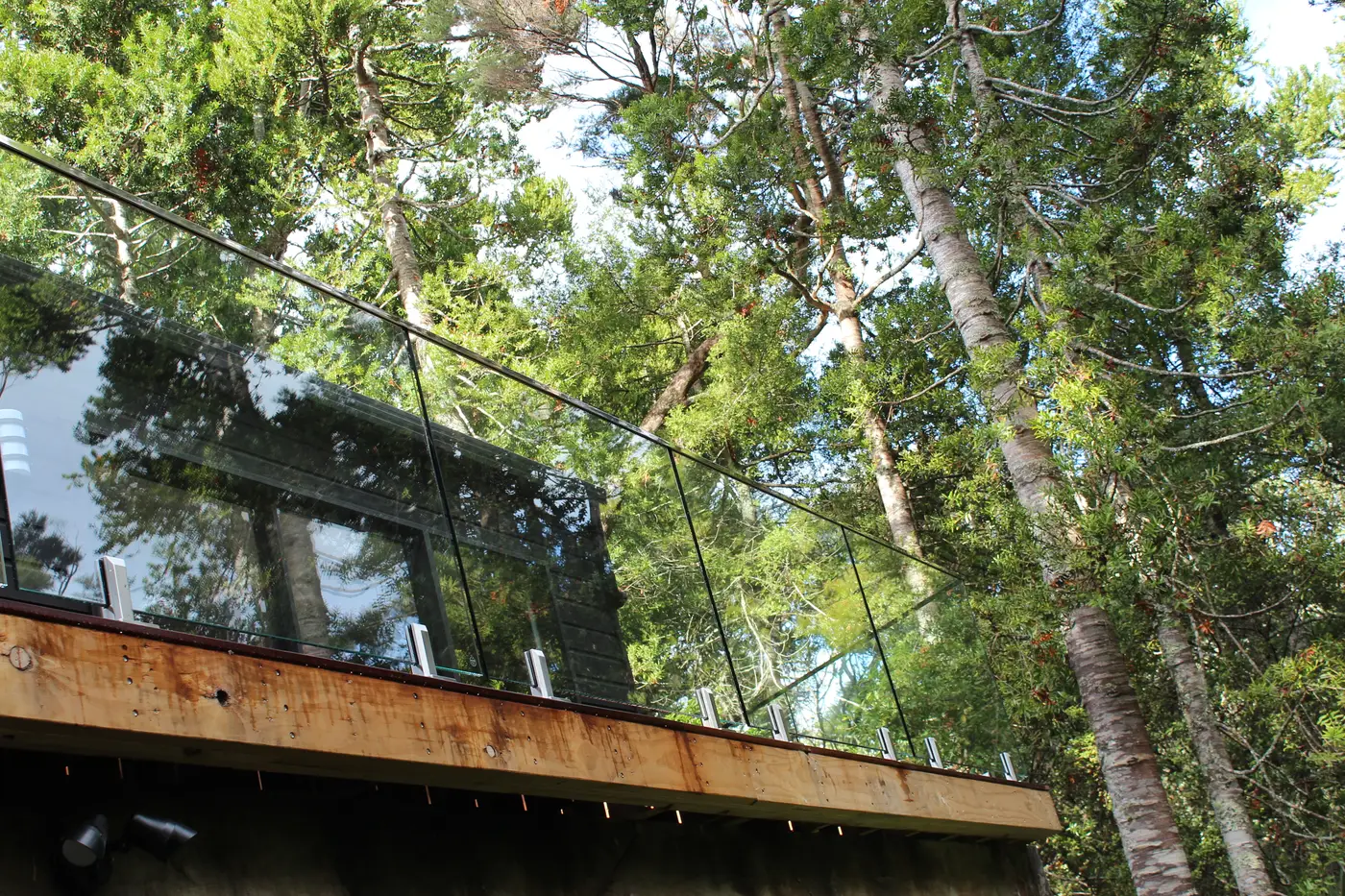 Looking up at the glass balustrade and deck edge